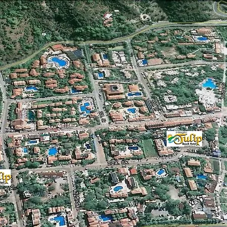 Hotel Magic Tulip 3*