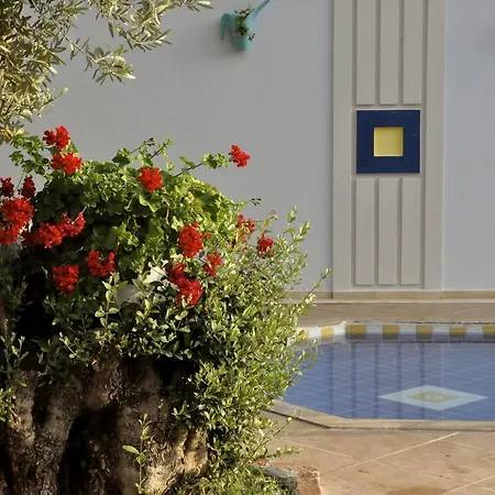 Hotel Magic Tulip Ölüdeniz