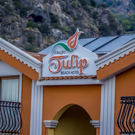Hotel Magic Tulip
