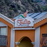Hotel Magic Tulip