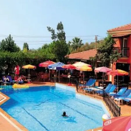 Hotel Magic Tulip