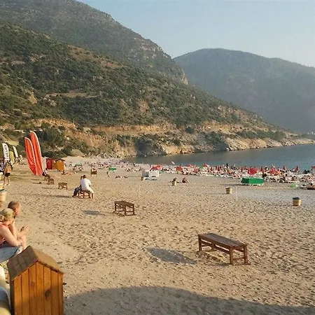 Magic Tulip ホテル