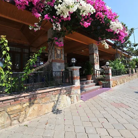 ホテル Magic Tulip 3*