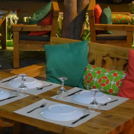 Magic Tulip オルデニズ