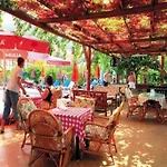 魔力郁金香海滩酒店 3*