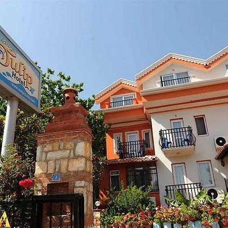 Magic Tulip Hotel