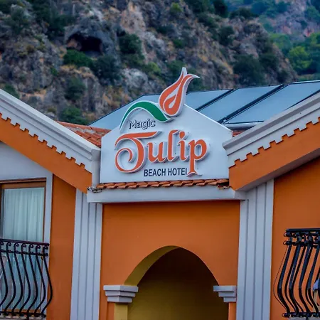 Magic Tulip Hotel