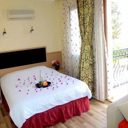 Отель Magic Tulip 3*