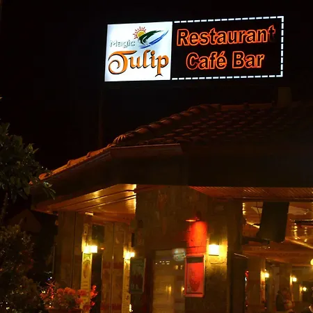 Magic Tulip 3*
