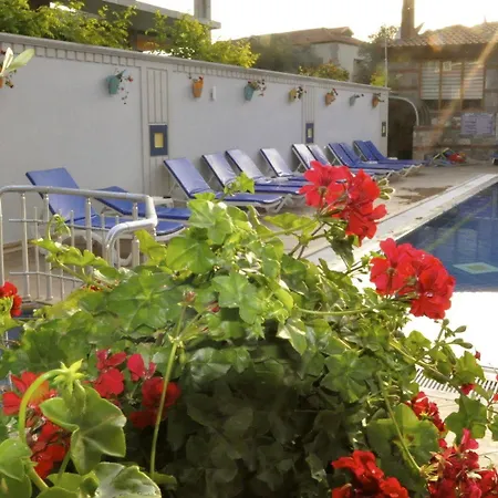 מלון Magic Tulip