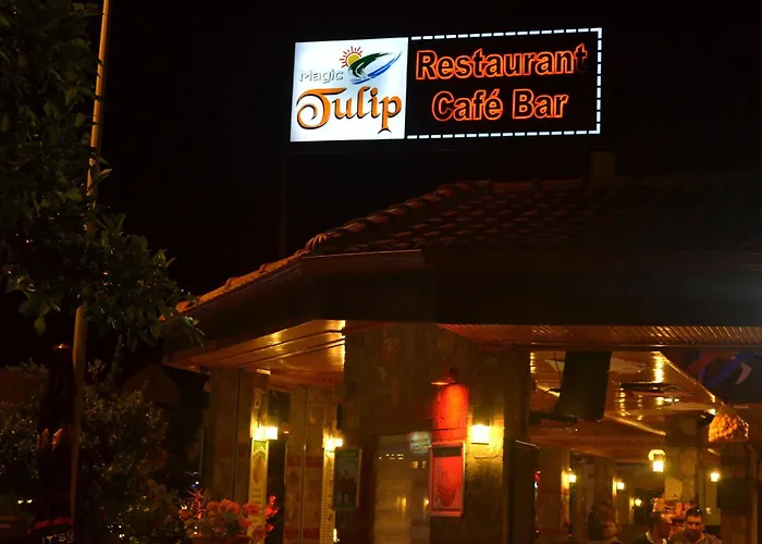 Magic Tulip 3*